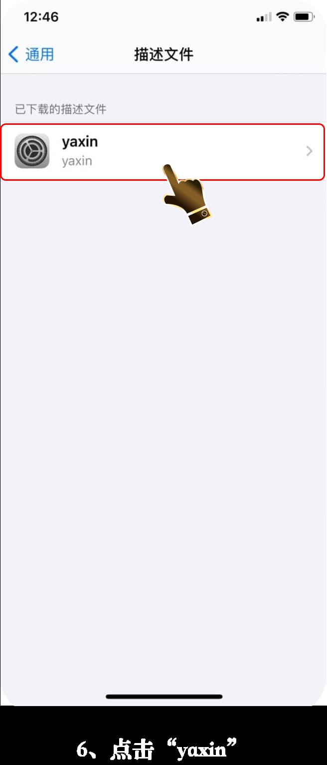 iOS客户端安装流程示意图6